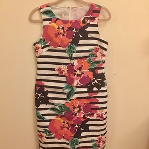 Talbots White/Navy Striped Floral Dress l Elegant